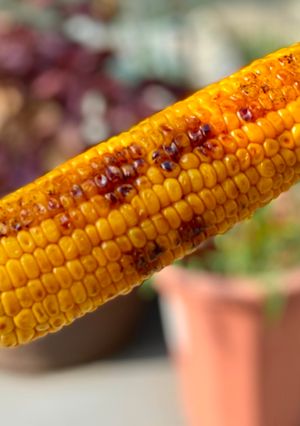 A picture of Japanese Grilled Corn.