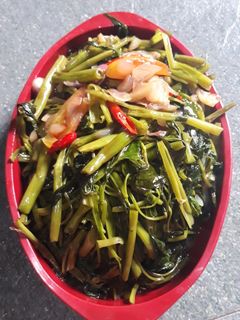 Foto resep Tumis kangkung saori
