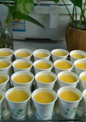 Foto resep Puding Labu Lembut