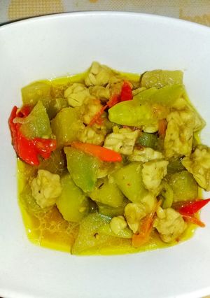 Foto resep Labu siam + tempe santan / Gulai labu siam