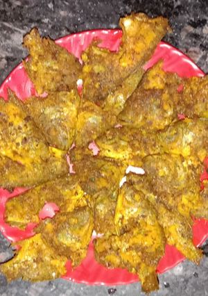 A picture of Koi Fish Fry.