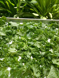 Foto resep Kale Chips