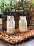 Homemade Yogurt
