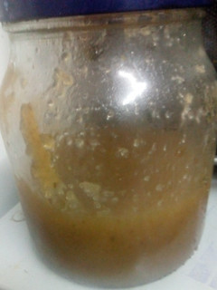 A picture of Raw Papaya Syrup.