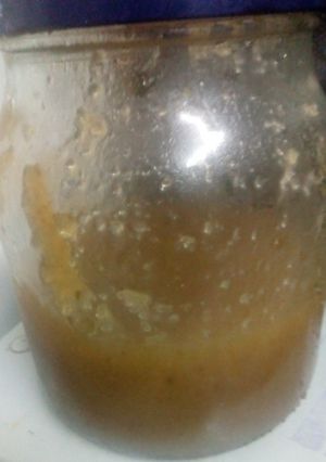 A picture of Raw Papaya Syrup.