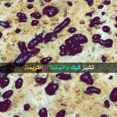 تشيز كيك بالنوتيلا و الكريمة-レシピのメイン写真