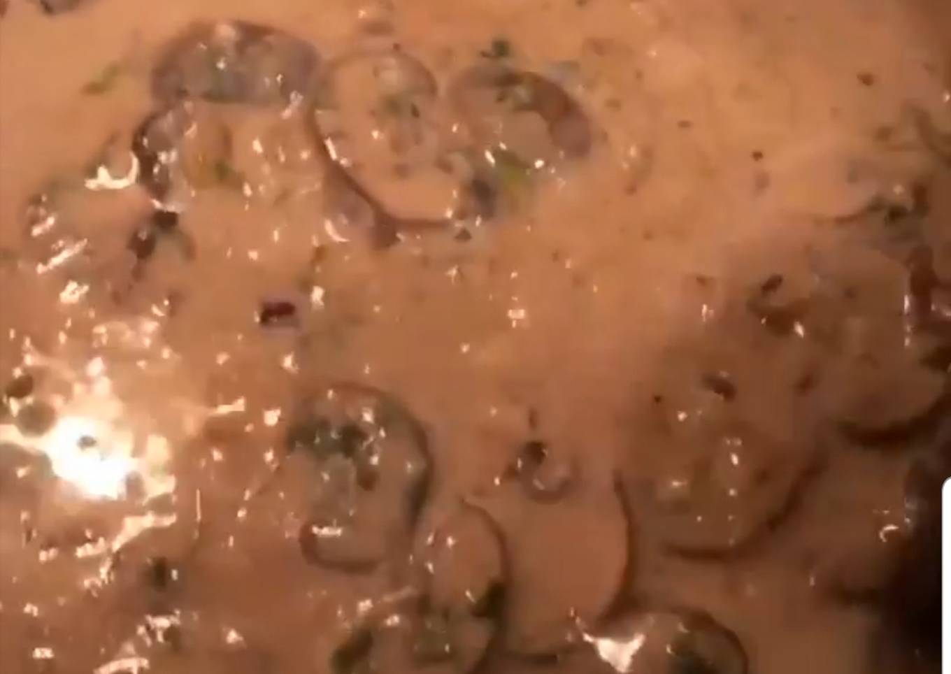 Salsa de hongos