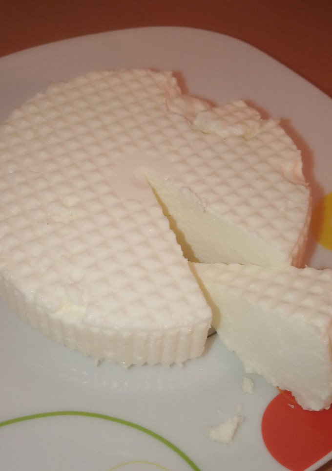 Una foto de Queso fresco casero