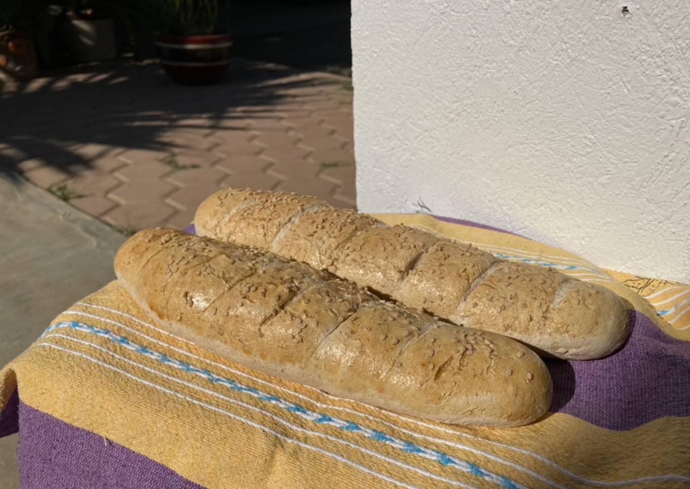 Pan rústico natural (Baguette)