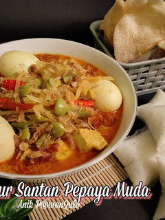 Foto resep Sayur Santan Pepaya Muda