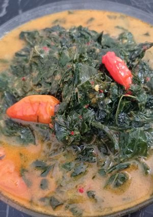 Foto resep Daun Singkong Santan