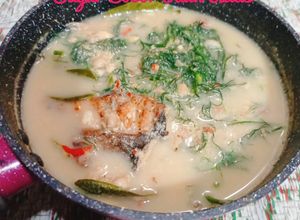 Foto resep Sayur Bobor Daun Adas, khas Salatiga (Masakan dari sayuran sehat anti kangker dll)