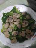 Tumis Tunas Kol Selimut Jamur