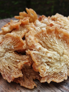 Foto resep Jamur crispy