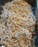 Tallarines sin gluten