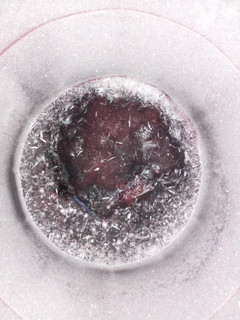 A picture of Zobo drink.