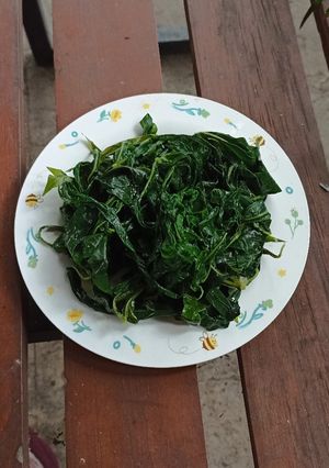 Foto resep Daun Singkong Rebus Tetap Hijau