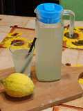 Limonata americana