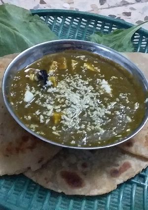 પાલક પનીર(Palak Paneer Recipe in Gujarati) રેસીપી મુખ્ય ફોટો