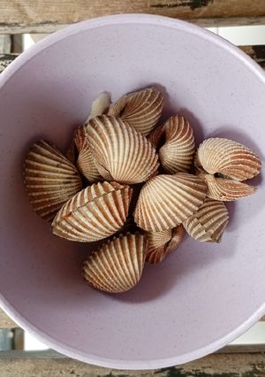 Foto resep Kerang Dara Rebus