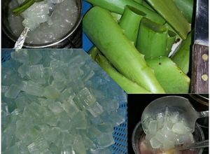 Foto resep Nata De Aloe Vera