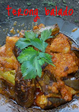 Foto resep Sambal goreng/balado terong ungu