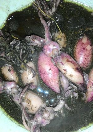 Foto resep Cumi Tinta Cinta