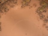 شاهي المسالا الهندي