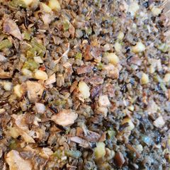 A picture of Jerk Pan.