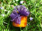 Marillen - Kürbis - Marmelade mit einem Hauch Ingwer