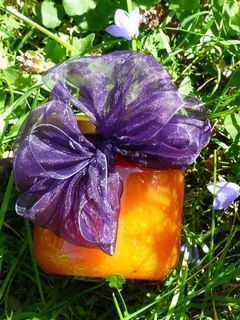 Marillen - Kürbis - Marmelade mit einem Hauch Ingwer Rezepthauptbild