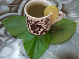 ગિલોય ઉકાળો (giloy ukalo recipie in Gujarati)