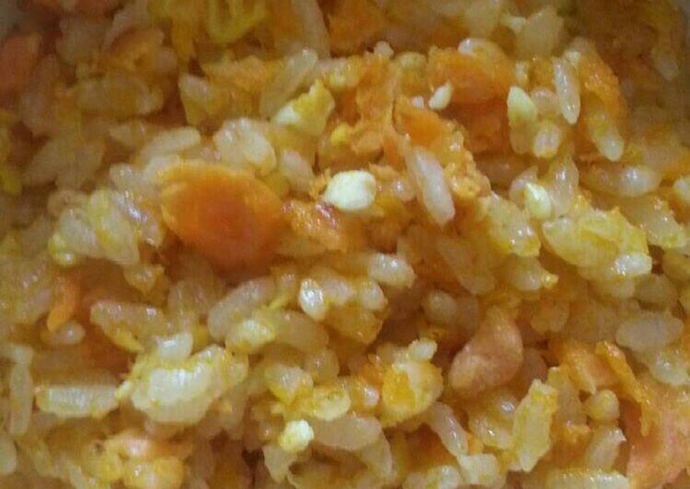 MPASI 10mo - Nasi Goreng Special