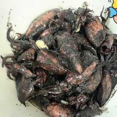 Cumi Hitam রেসিপির প্রধান ছবি