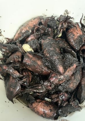Foto resep Cumi Hitam