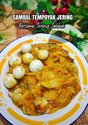 Gambar 31:12:23 - Sambal tempoyak jering bersama terung Jambak