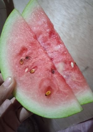 Foto resep Milk Semangka