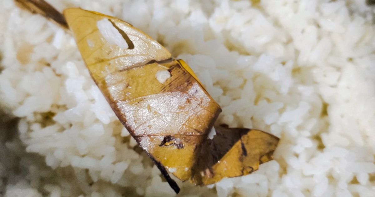 Nasi Uduk Rice Cooker