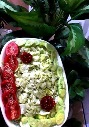 عکسی از دستور سالاد کدوسبز رژیمی