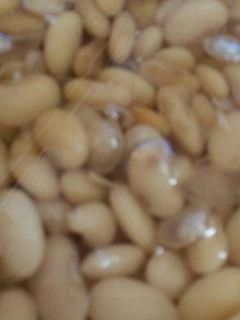 A picture of Lima beans.