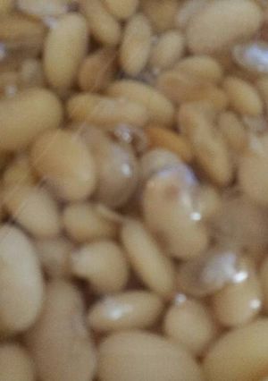 A picture of Lima beans.