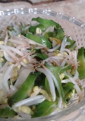Foto resep 🥗Tumis Kecipir (+ Tauge)🥗