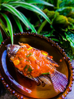 Foto resep Ikan Nila Saus Padang