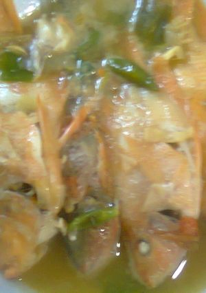 Foto resep Tim ikan praktis