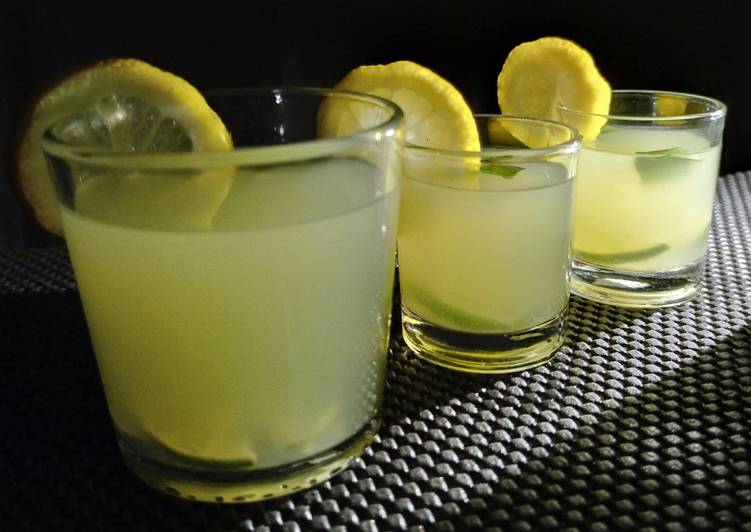 How to Prepare Appetizing Mojito Virgin