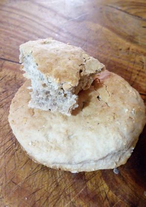 Una foto de Galletas al cacao con avena arrollada
