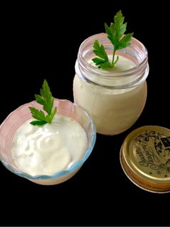 A picture of Protein-Rich Low Carb Mayonnaise.