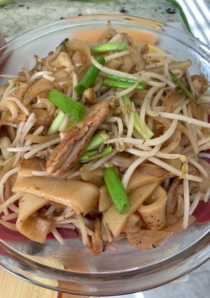 乾炒鷄肉河粉 的食譜成品照片