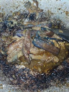 Foto resep Sambel terong, sedikit cabe