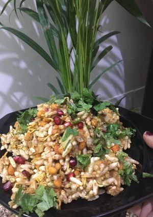 A picture of Diet bhel.